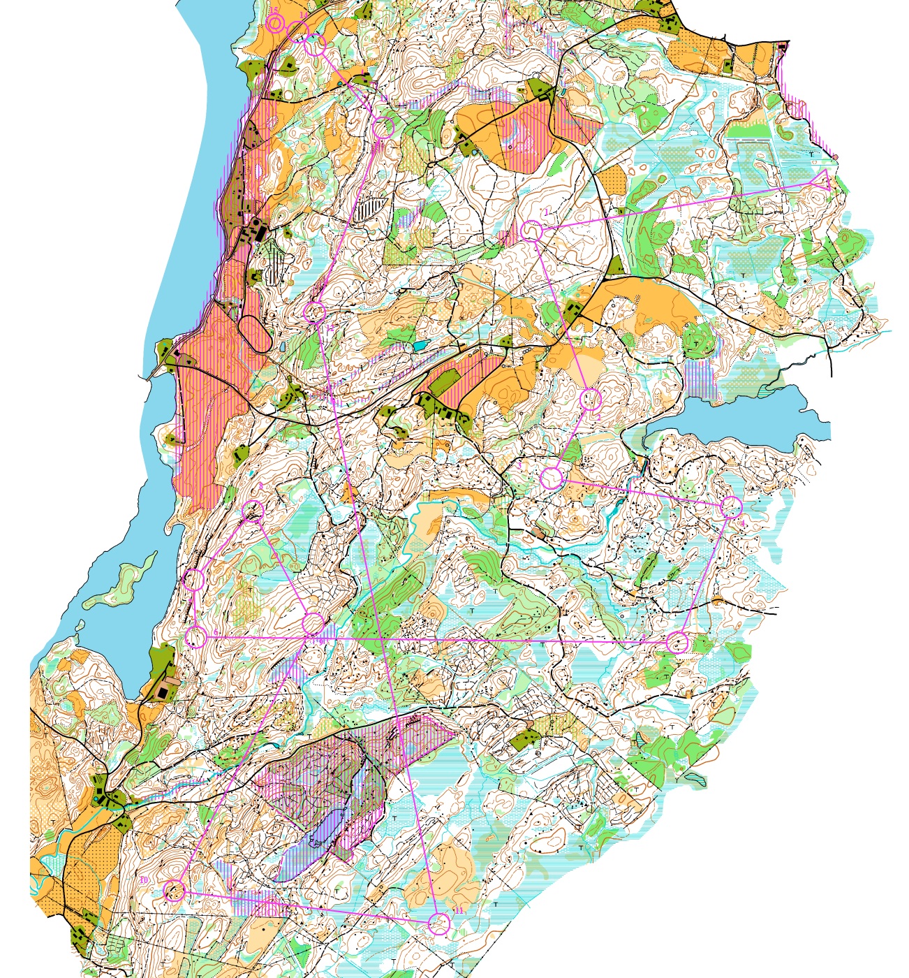 O-ringen Etapp 1 (2012-07-22)